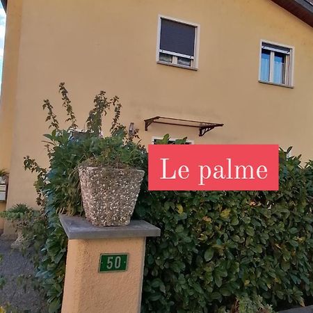 Le Palme Hotel Monteceneri Buitenkant foto
