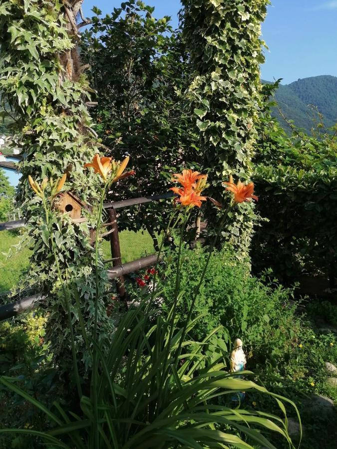 Le Palme Hotel Monteceneri Buitenkant foto