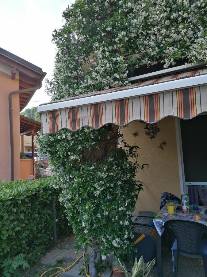 Le Palme Hotel Monteceneri Buitenkant foto