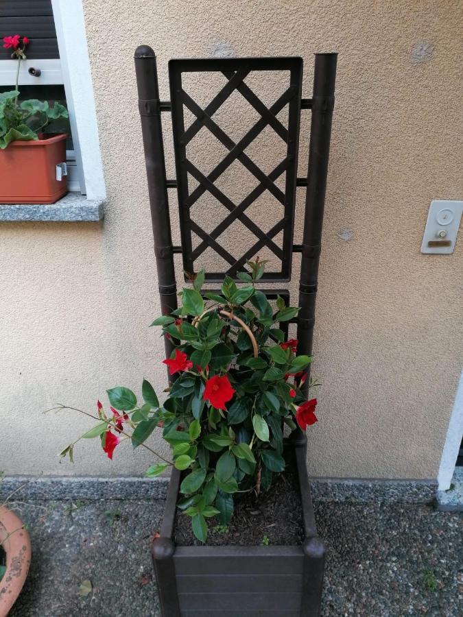 Le Palme Hotel Monteceneri Buitenkant foto