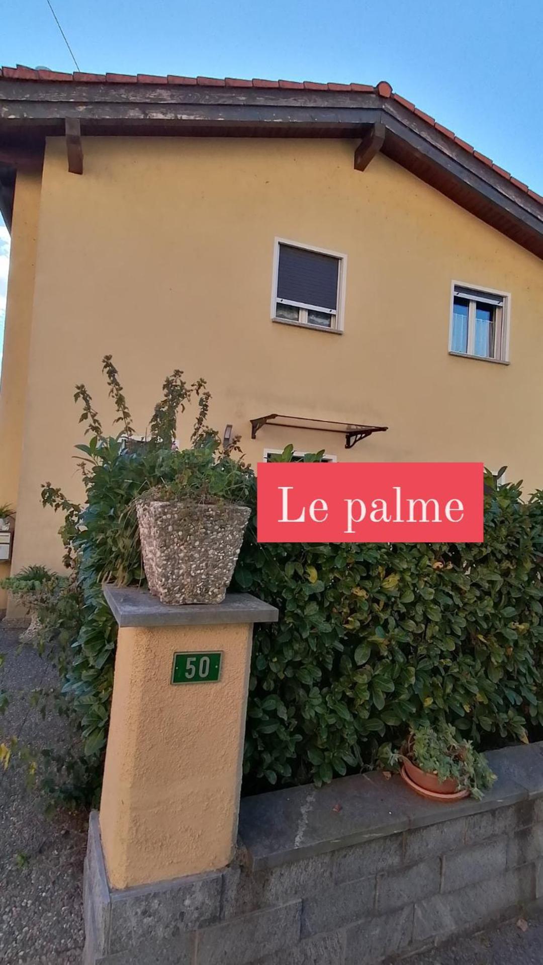 Le Palme Hotel Monteceneri Buitenkant foto